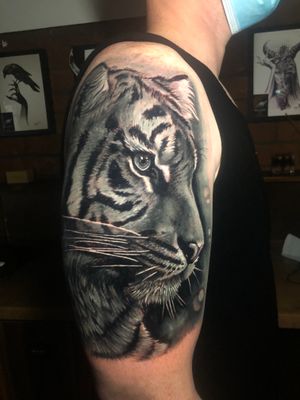 Tattoo by Nevermore Private Studio