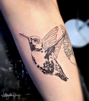 Hummingbird for Sydnie 
