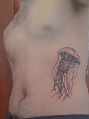 #Jellyfish #ocean #sea 