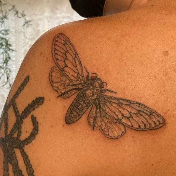 Tattoo from Cassandra Faire