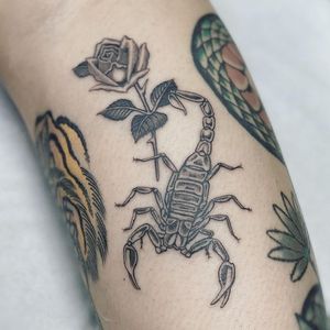 Check out this stunning black & gray traditional style scorpion tattoo on the arm by talented artist Sophie Rose Hunter.