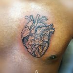 #tattoo  #tattooideas  #tattoos_of_instagram #tattoolover  #inkedupgirls #tattooinspo #guyswithtattoos #johannesburgtattooshop #chesttattoo #hearttattoo #anatomical #heart
