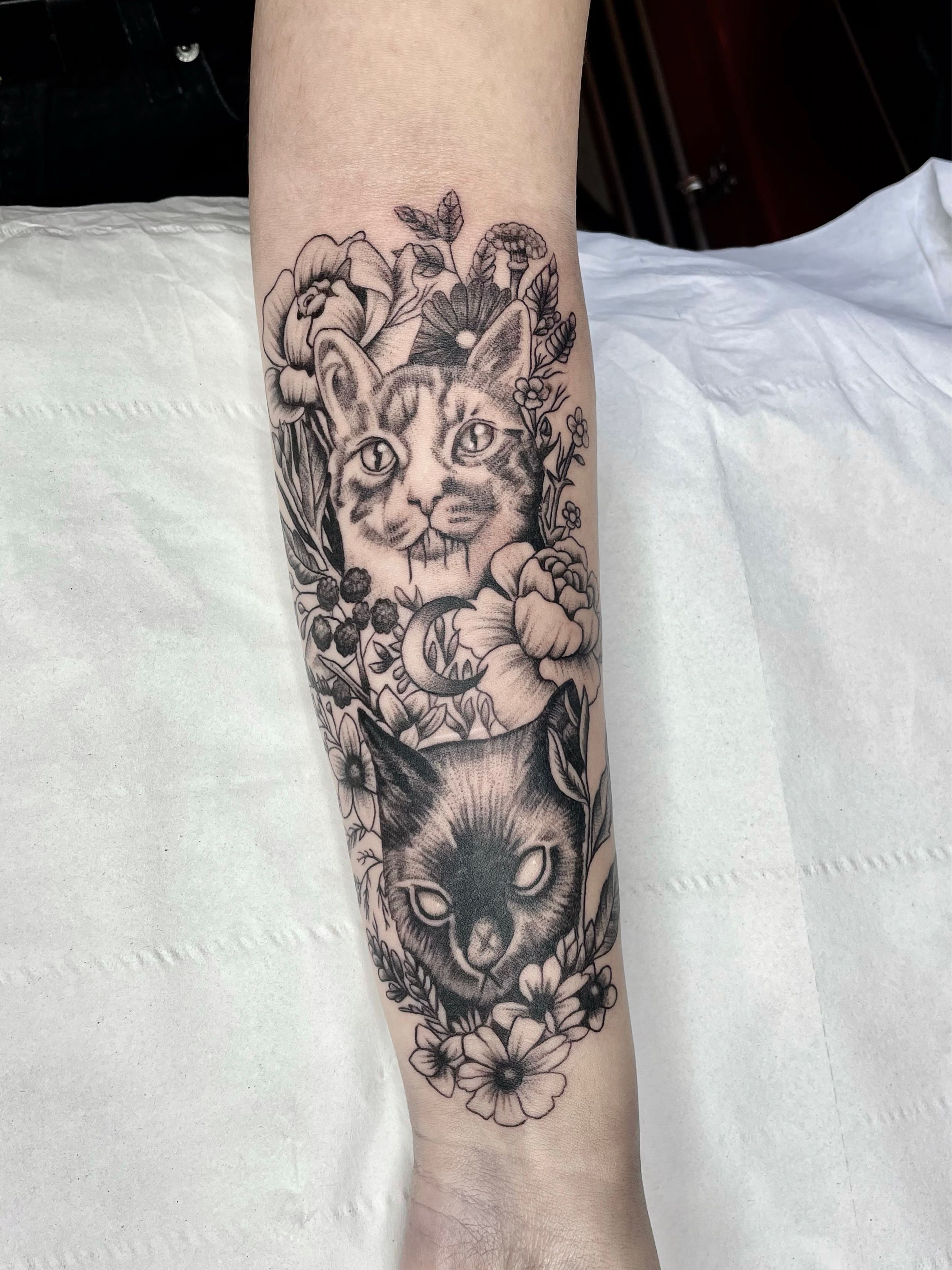 Cats and aliens. Both by Bryan Turnbull @ Government st tattoo. Victoria  British Columbia : r/tattoos