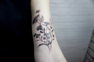 𝙄𝙂: 𝙣𝙖𝙩𝙚_𝙩𝙝𝙖𝙞𝙡𝙖𝙣𝙙 🌿 Blackwork minimal wild flower tattoo by a blackwork tattoo artist in Chiang Mai, Thailand