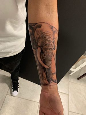 Realistic elephant 