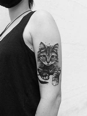 🖤🐱 thank you so much for trusting me with this sweet memorial piece. ∵ ∵ ∵ ∵ ∵ #brittabremse #switzerland #schaffhausen #züri #zürich #swisstattoostudio #bern #luzern #swisstattooartist #animaltattoo #animaltattoos #tattooartist #swisstattooist #swissfemaletattooist #femaletattooist #catlady #cats #cat #cattattoo #kitty #kittytattoos #blackwork #blackworktattoo #tattoo #tattooforwomen #tattooformen #portraittattoo #catportraittattoo
