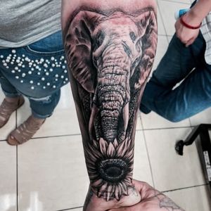 Realism Elephant 