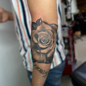 Healed Rose