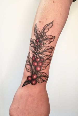 Coffee cherries 🍒⁠⁠
⁠⁠
This is one of the tattoos I had most fun with so far! ⁠⁠
More tats like this please 🙏🏼✨⁠⁠
⁠⁠
Thank you so much @fernandovcostacurta for trusting me again.⁠⁠
⁠⁠
For bookings and queries 💌bendinglines.art@gmail.com⁠⁠