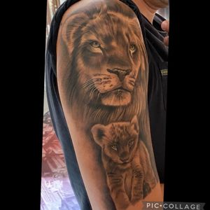 #lion #babylion #fatherandson #realistic 