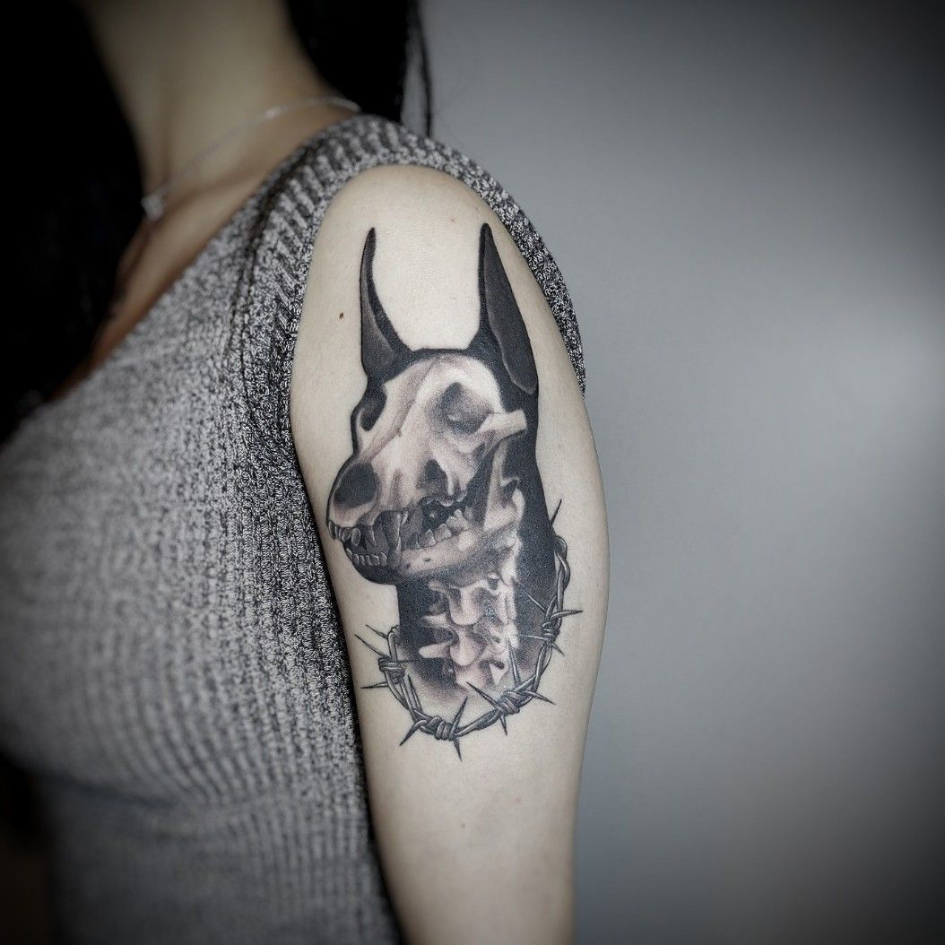 Tattoo uploaded by minerva  Running dog tattoo by Garaskull skeleton  black blackwork xray dog running  Tattoodo