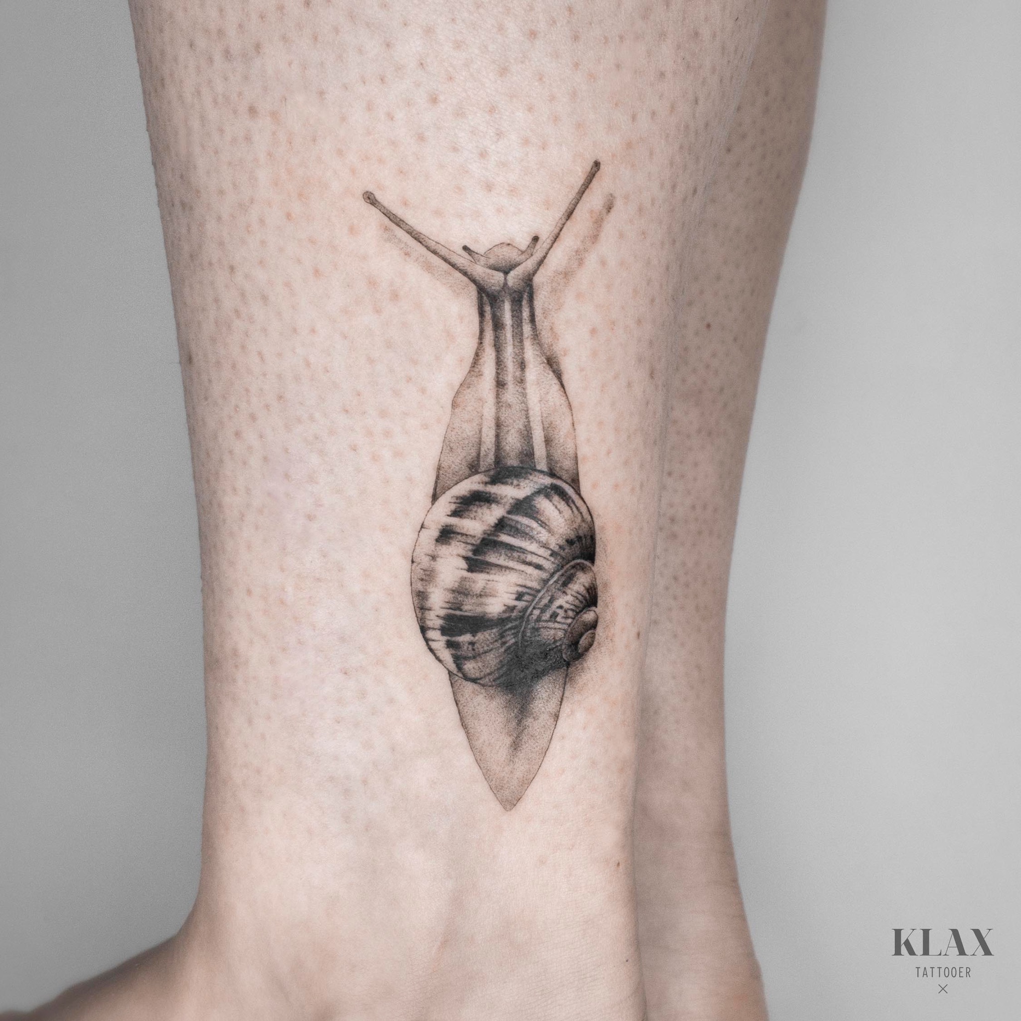 Snail Tattoos Symbolism Meanings  More