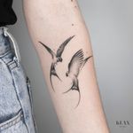 Swallows Tattoo Dotwork