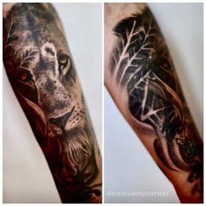 Realistic lion tattoo by Louis Santos #tattoo #tattoos #liontattoo