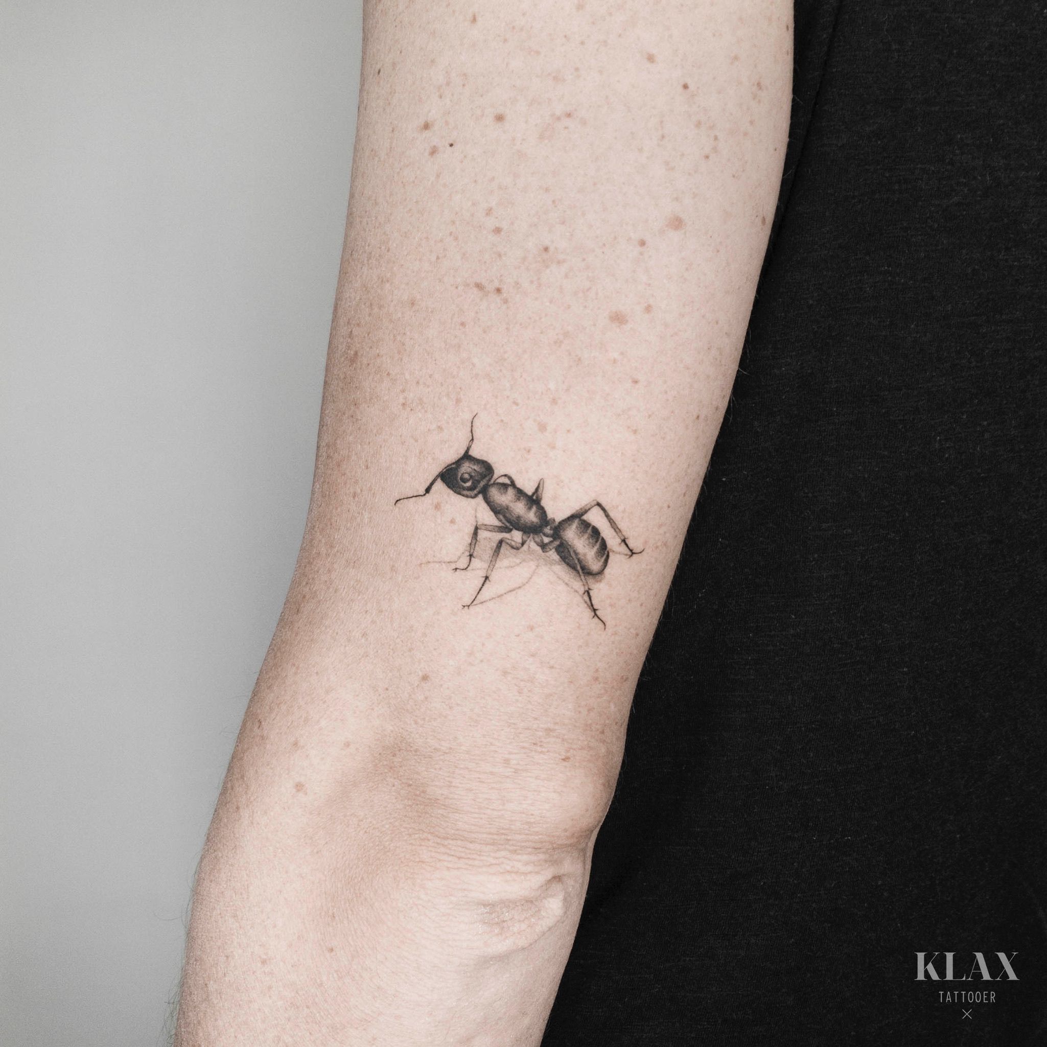 Microrealistic ant tattoo on the wrist