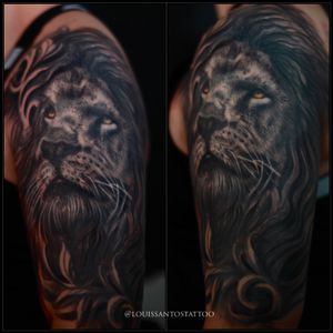Realistic lion tattoo by Louis Santos #liontattoo