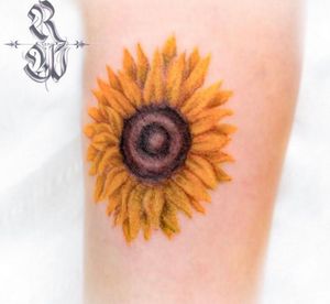 • Sunflower •