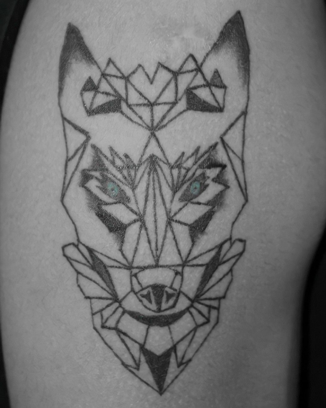 Black Tribal Coyote Tattoos Design
