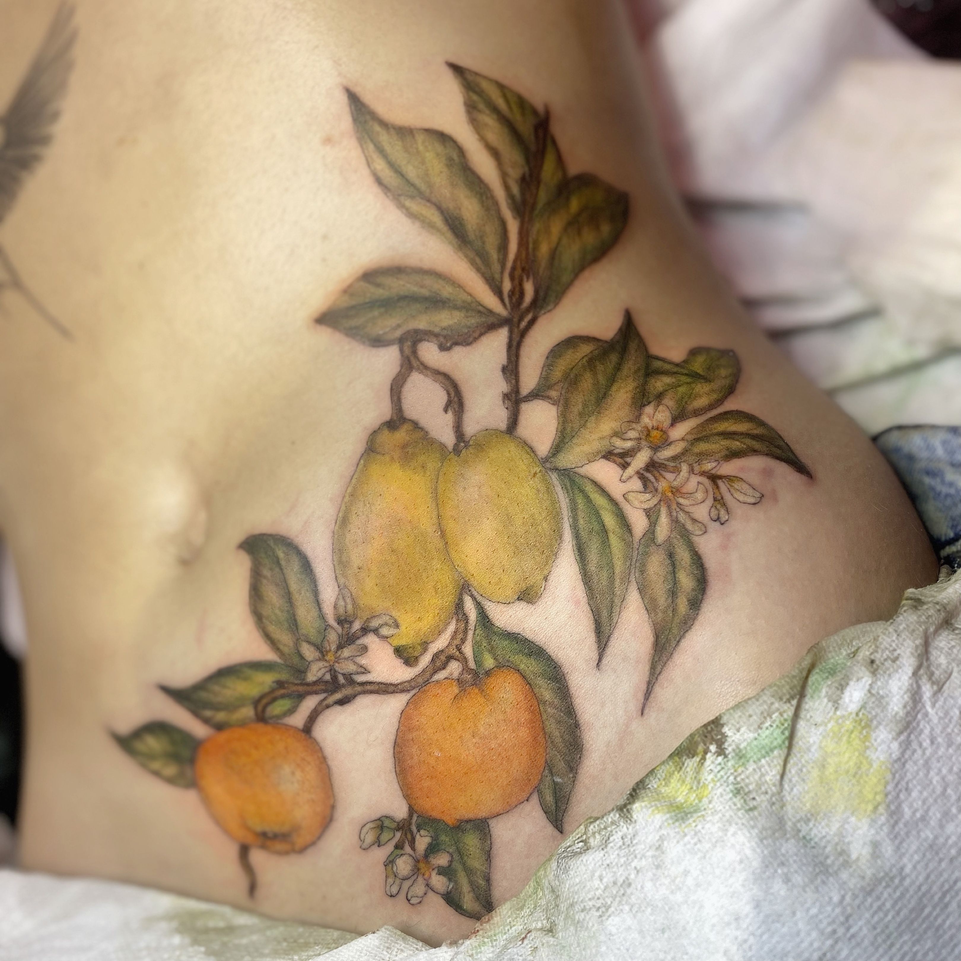My second tattoo this year by Jia from Paw Tattoo in San Mateo CA A lemon  tree branch  rtattoos