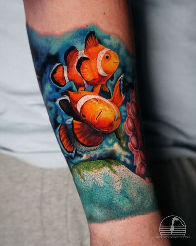 Clown fish. Underwater sleeve progress. 