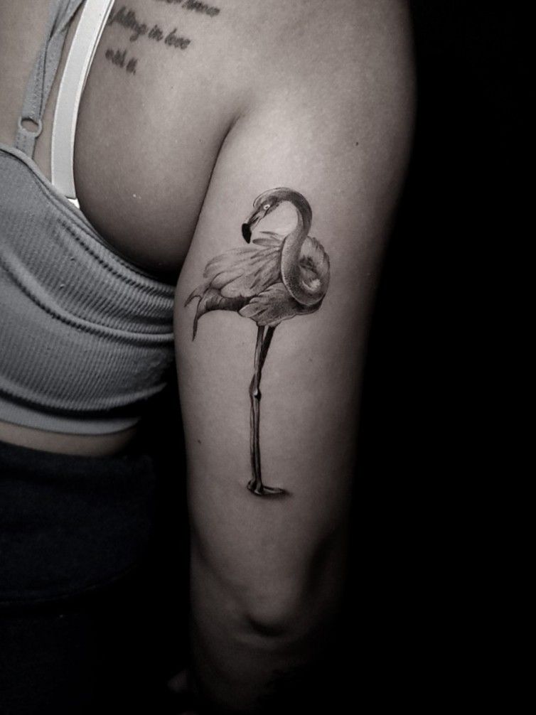 Flamingo bird tattoo design Royalty Free Vector Image