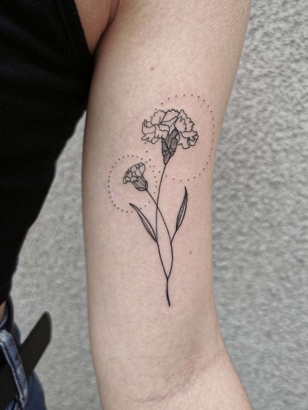 Carnation Tattoo Vector Images 89