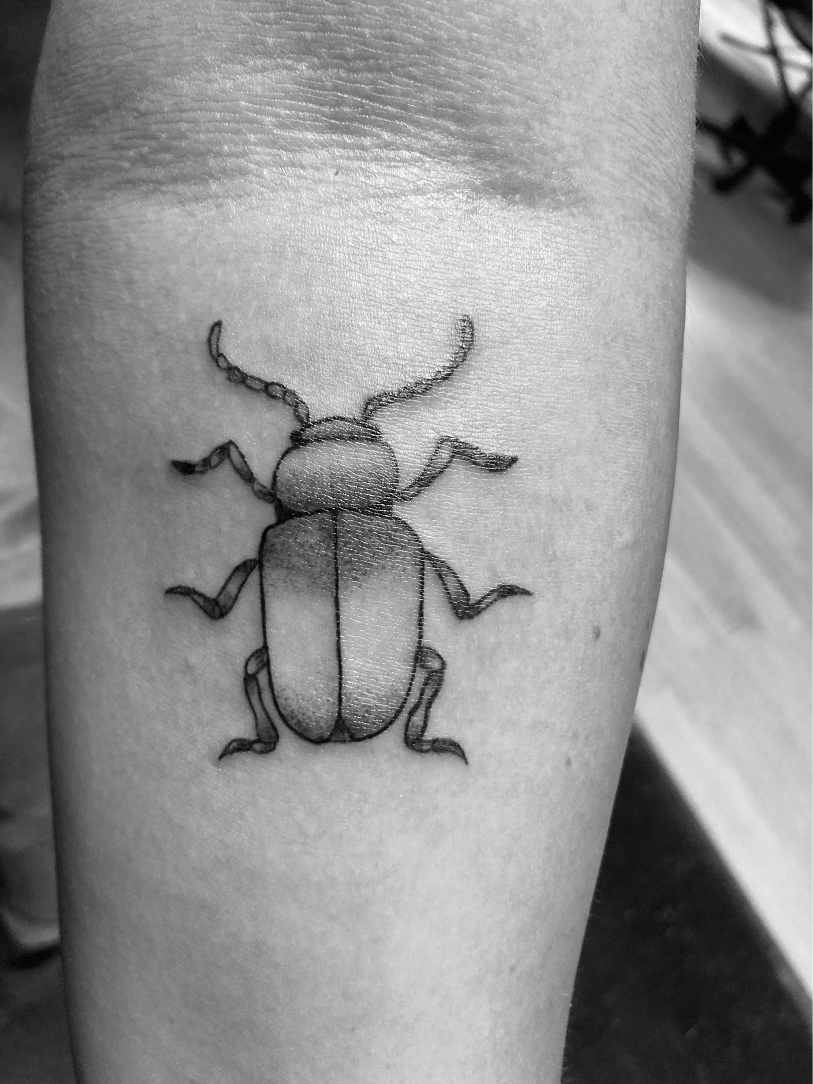 10 Best Ladybug Tattoo Ideas In 2023  alexie