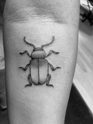 The cutest little june bug! Done at Modern Day Martyrs off Southwest 6th Street in Amarillo, Texas.