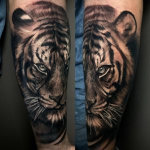 •The Tiger• Primera sesión para esta pieza Todavía quedan turnos disponibles para julio y ya está abierta la agenda de agosto ✅ . . . #tattoo #tiger #tigre #realistictattoos #blackandgreytattoos #tattoos #tattooed #tattooist #tattooartist #tattooer #ink #inked #spain #españa #tenerife #canarias #madrid #barcelona