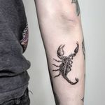 Scorpion  #blackandgrey #scorpiontattoo #armtattoo #fineline
