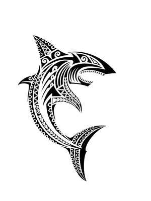Maori tribal tattoos：shark