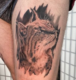 Lynx tattoo 90% healed 