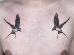 A pair of pretty little swallows! I love doing animal tattoos :) . . #swallowtattoo #swallows #animaltattoo #birdtattoo #feathertattoo #chesttattoo #blackworktattoos 