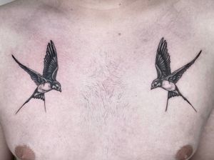 A pair of pretty little swallows!I love doing animal tattoos :)..#swallowtattoo #swallows #animaltattoo #birdtattoo #feathertattoo #chesttattoo #blackworktattoos 