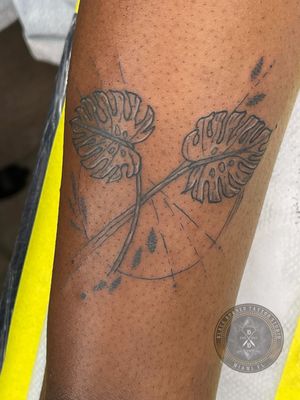Montera plant tattoo