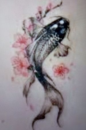 Black Koi With Cherry Blossoms