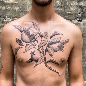 I free handed this pomegranate chest piece the other day. We made this in one session. I’m happy to draw any and all fruits/branches straight on you!