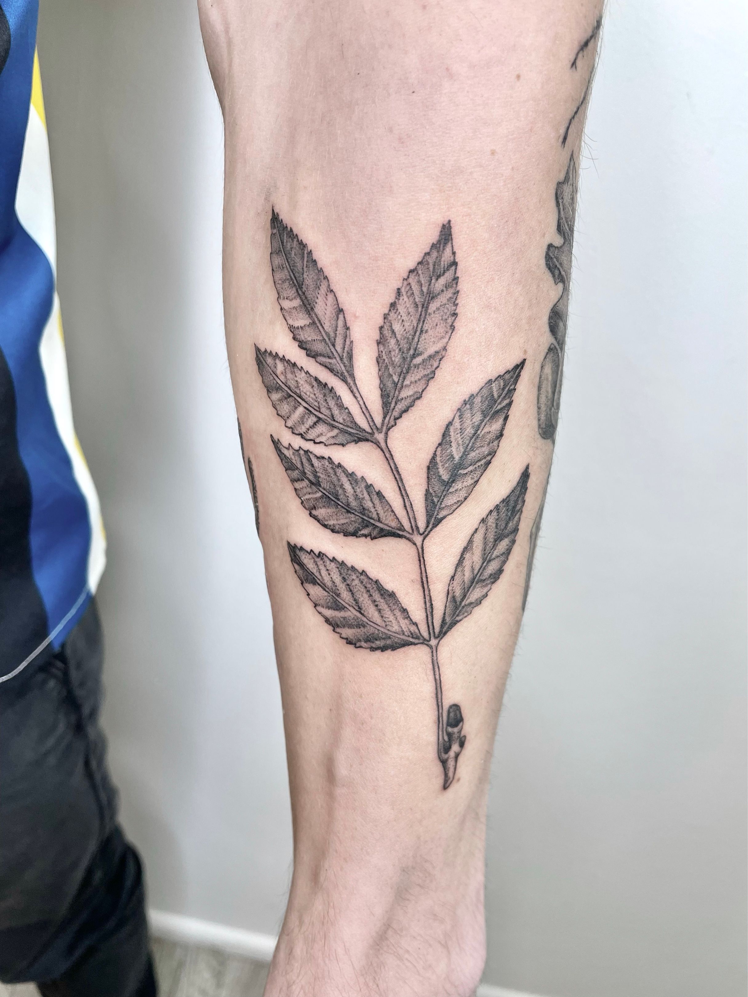 The Spiritual Journey Of Getting A Tree Tattoo