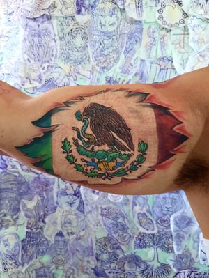 #mexico #bandera #inkcolor 