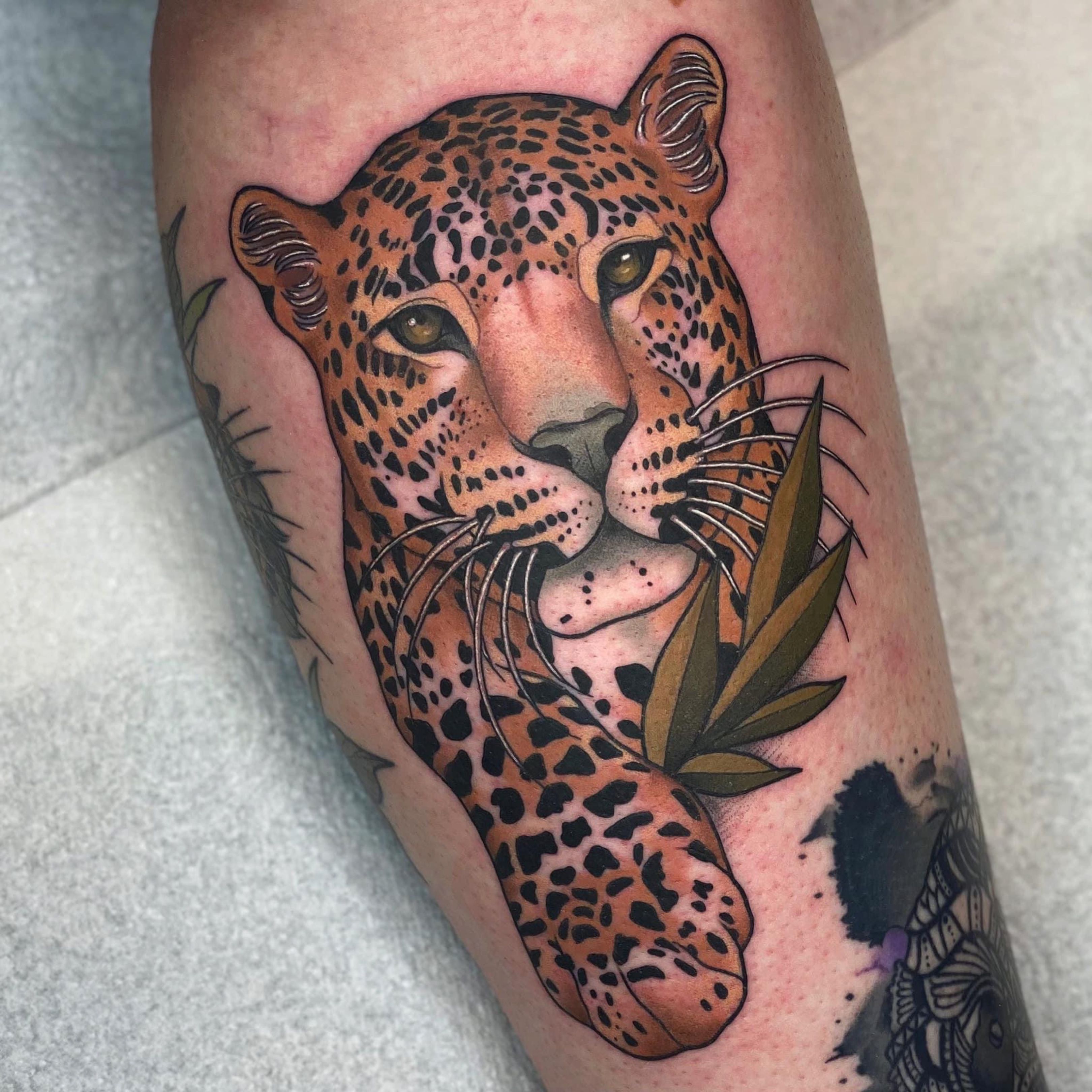 Hardy snow leopard from this week Done by me at 1873 Tattoo Barnsley UK  IGBowleytattoo  rtraditionaltattoos