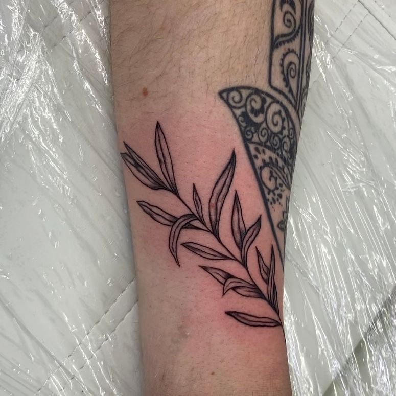 Fine line olive branch My first tattoo  ragedtattoos