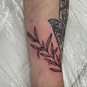 Small olive branch tattoo 