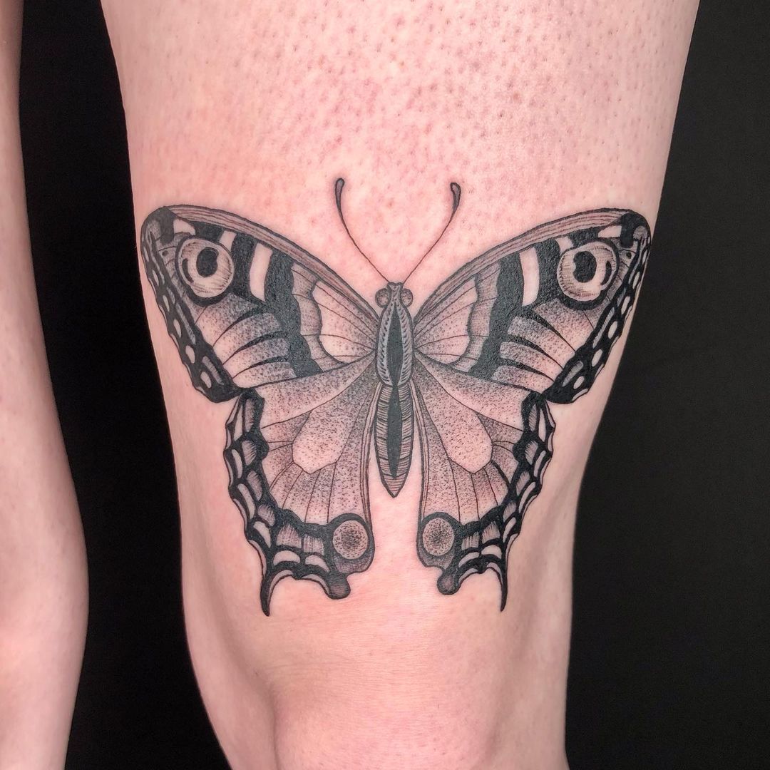 The Quillian Tattoo  Knee butterfly by Caleb Stop by today to set up your  next tattoo appointment Repost by repostaapp  Floral butterfly  floating right above the knee butterflytattoo girlswithtattoos floral 