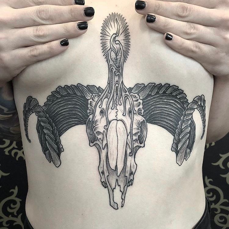 Otter skull sternum tattoo by hollysimstattoos    Email the studio  today for all bookings and enquires  Instagram