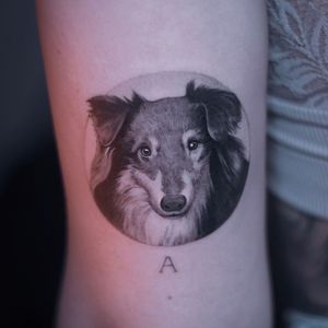 Mini tattoo dog