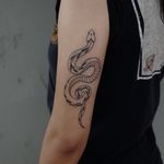 Snake for Tania!! https://www.heydalia.com/contact 