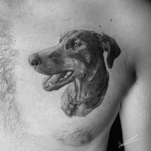 Instagram: @rusty_hstDog portrait#dog #portrait #blackandgrey #realism