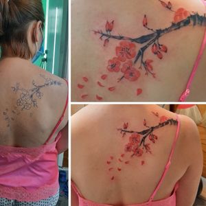 Cherry Blossom tattoo Re-do selected by canvas 