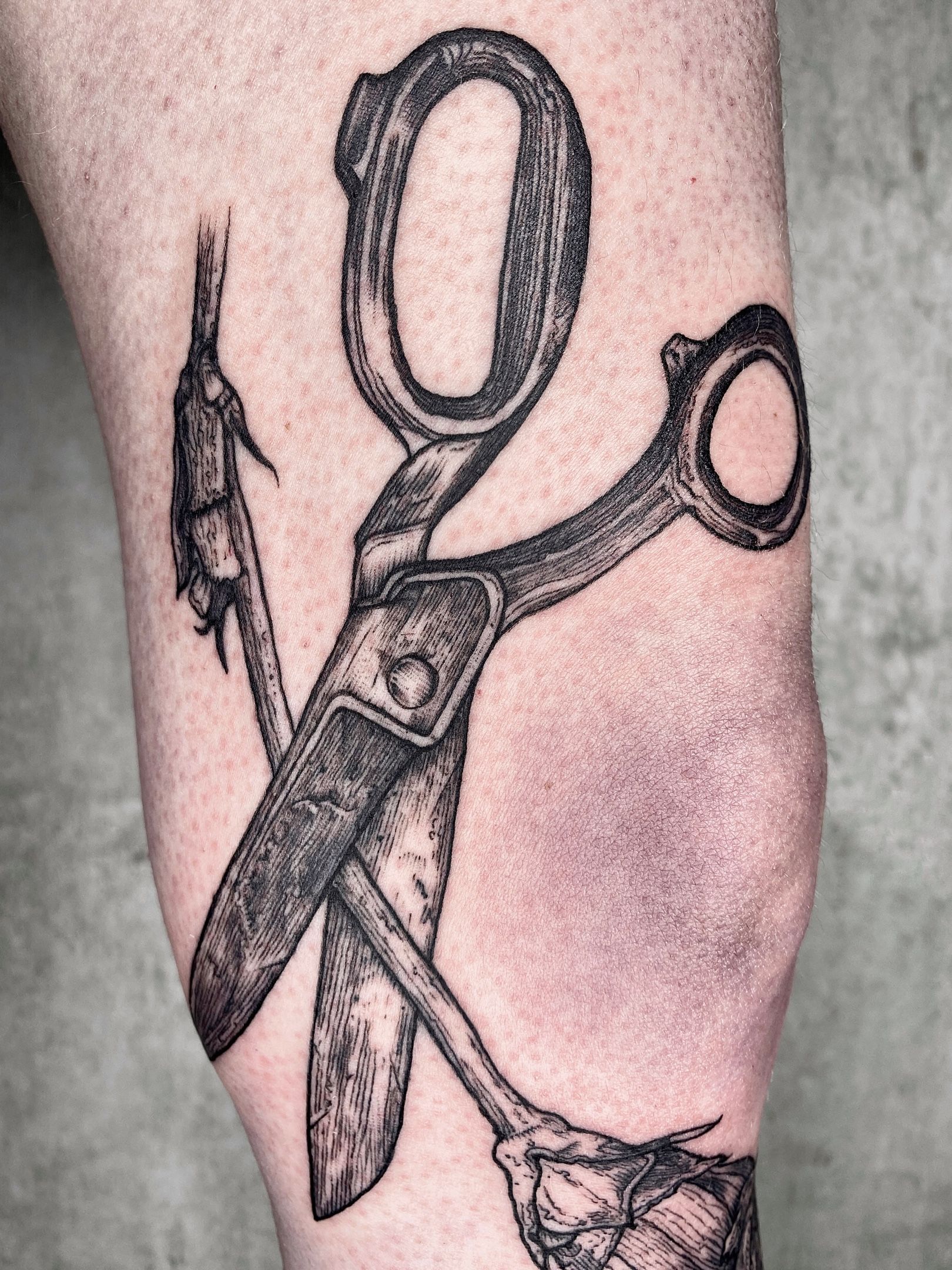 10 mm. tattooing forceps, 5 figures - Importvet