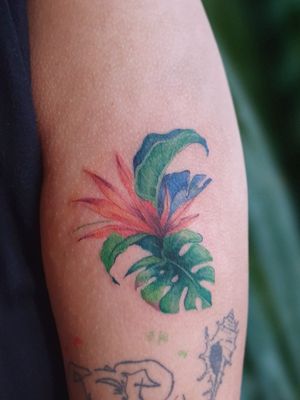 Tropical flower and leaf!